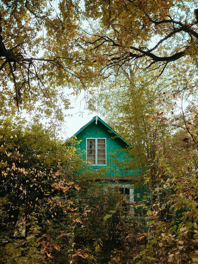 Morbi tristique